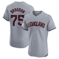 Cleveland Guardians #75 Connor Brogdon Player Gray Tomch Road Limited Elite Home Stitched Jerseys
