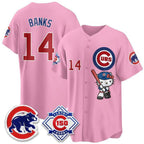 Chicago Cubs #14 Ernie Banks Pink Tomch Meow KT All Stitched Jersey