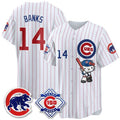 Chicago Cubs #14 Ernie Banks Pinstripe Pink Tomch Meow KT All Stitched Jersey